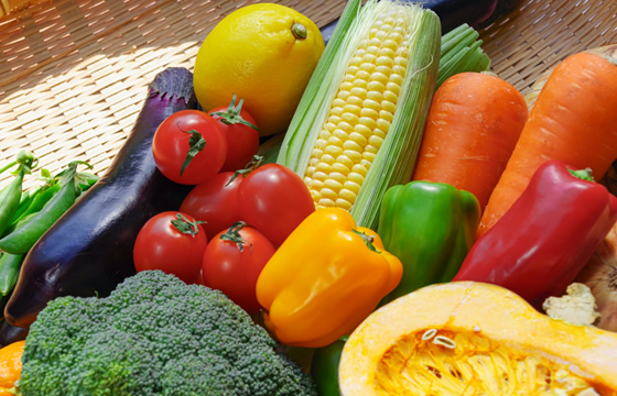 地元の新鮮な素材